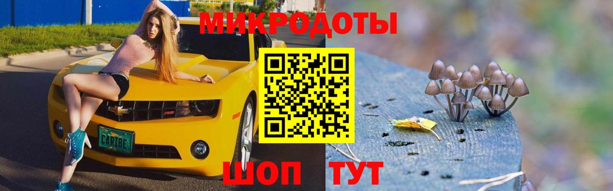 Псилоцибиновые грибы Psilocybine cubensis  где можно купить наркотик  Вход с VPN  Коломна  Галлюциногенные грибы мицелий 
